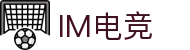 IM(股份有限公司)电竞-电子竞技平台
